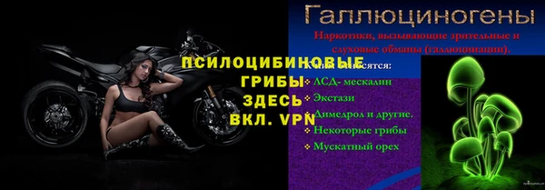 стаф Заволжск