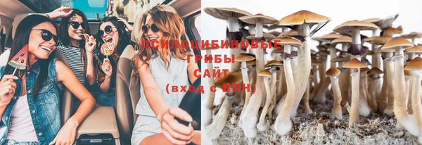 мяу мяу кристалл Ельня