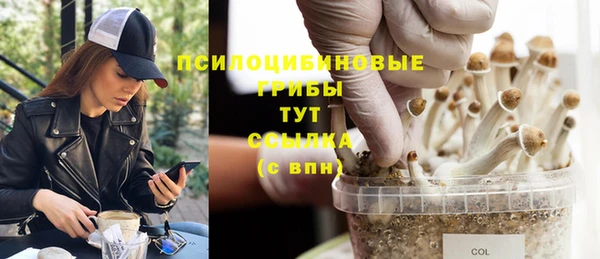 экстази Заводоуковск