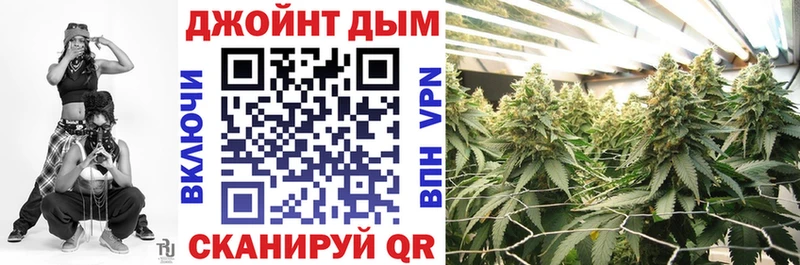 где можно купить Буй ссылка на мегу вход Каннабис планчик